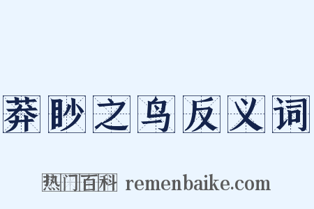 莽眇之鸟反义词是什么意思的图片